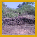 Property for sale in Mochemad Vengurla